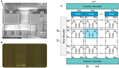 Digital Biologically Plausible Implementation of Binarized Neural Networks With Differential Hafnium Oxide Resistive Memory Arrays